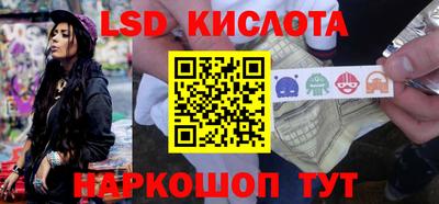шишки Будённовск