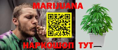 шишки Будённовск