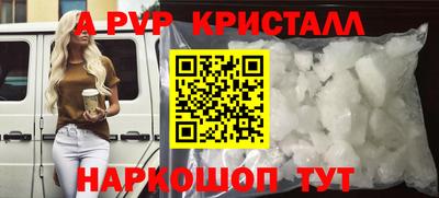 шишки Будённовск