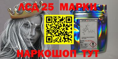 шишки Будённовск