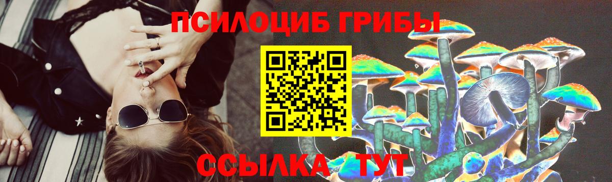 Галлюциногенные грибы Psilocybine cubensis Ковров